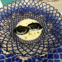 クイントカント - 