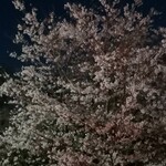 甘味堂 くさかもちや - 