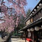 たねや日牟禮茶屋 - 