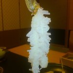 春日井 甲羅本店 - 洗い
      