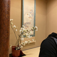 本湖月 -  本湖月 -