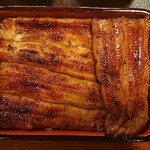 うなぎ 桜家 - 2020年3月　うなぎ重箱（一匹半）　6000円