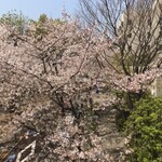 レストラン マノワ - おまけ。六本木から広尾へ行く途中の風景。