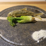 日本料理 みや  - モロコ、タラの芽