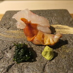 日本料理 みや  - 天然鯛、赤貝