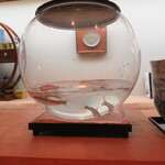 青華こばやし - 活モロコ