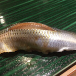 すし伊澤 - ■こはだ
      
         熊本県天草市産。
         大将拘りの逸品✨
         「こはだ」を「こはだ」と思えない旨さ。