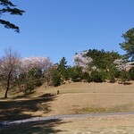 額田ゴルフ倶楽部 - おまけ画像・桜は満開