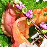 KAKIYA シェル＆シュリンプ - 