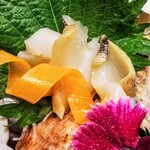 KAKIYA シェル＆シュリンプ - 