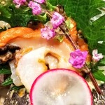 KAKIYA シェル＆シュリンプ - 