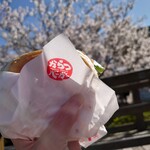 Karatsubaga - スペシャルバーガーと桜