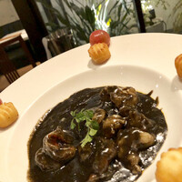 CINA New Modern Chinese - 