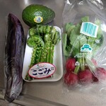 Yakitori Ebisu - 頂いた野菜たち