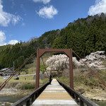 道の駅　ウッディー京北 - まずは吊り橋の枝垂れ桜花見