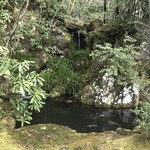 旅亭半水廬 - 庭園の池