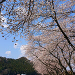 久慈川河川敷２