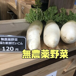 加賀さんまるしぇ_1