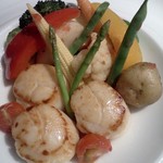 クラゲストア - メインのアップ