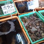 漁師の直売店 浜の母さん食事処 - 生け簀