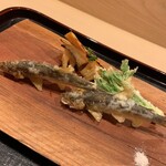 津の守坂 小柴 - 稚鮎　筍　こしあぶら