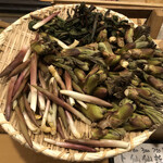 旬菜 おぐら家 - アマドコロ・タラの芽