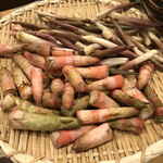 旬菜 おぐら家 - イタドリ・アマドコロ