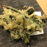 旬菜 おぐら家 - コゴミ