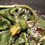 ろっかん - たんぽぽ