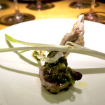 ドディチ・マッジョ - 