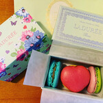 LADUREE - 