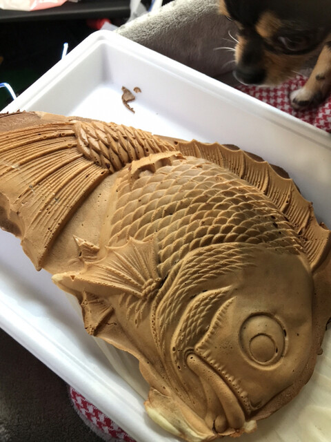 丸子峠鯛焼き屋 安倍川 たい焼き 大判焼き 食べログ