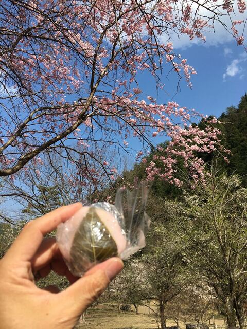 愛知屋菓子店 東桂 和菓子 食べログ 愛知屋菓子店 東桂 和菓子 食べログ