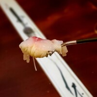 セルサルサーレ - 