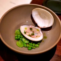 セルサルサーレ - 