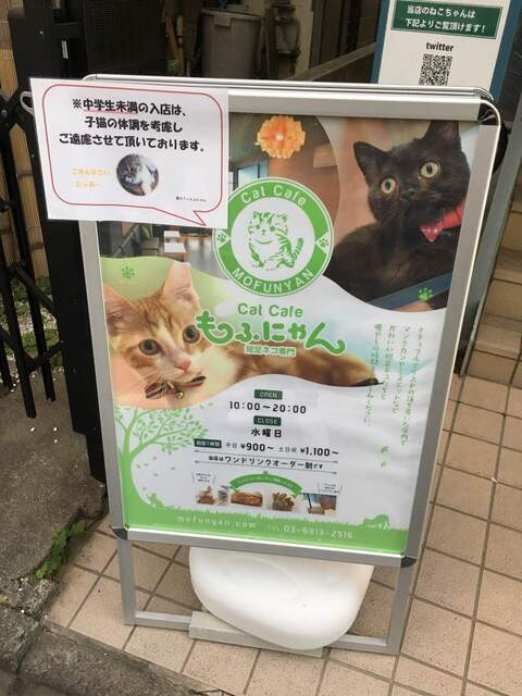 猫カフェ もふにゃん 石神井公園 その他 食べログ 猫カフェ もふにゃん 石神井公園 その他 食べログ