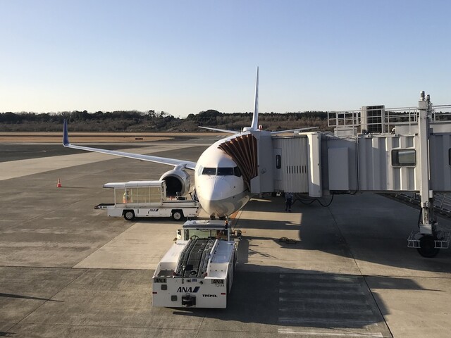 からし蓮根 ゲットして 熊本空港を飛び立ちます By Kinako Anko 平家屋 ヘイケヤ 益城町その他 郷土料理 その他 食べログ からし蓮根 ゲットして 熊本空港を飛び立ちます By Kinako Anko 平家屋 ヘイケヤ 益城町その他 郷土料理 その他 食べログ