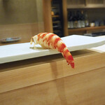 東麻布 天本 - 宇部の海老の握り