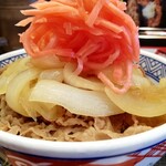 Yoshinoya - ネギだく牛丼￥499