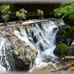 流しそうめんの場所から見える絶景