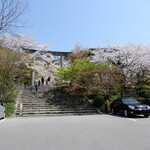 狐狸庵 - お店の近くにある桜の名所「竈門神社」