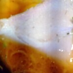 ラーメン 厚木家 - プースー。(ピンボケ２)