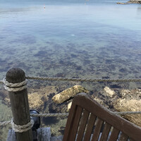 レストラン ラ・マーレ - 