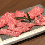 Kumamoto Akau Shishabushabu Koubai - 