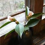 蕎仙坊 - 窓の外は野鳥の楽園