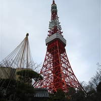 東京 芝 とうふ屋うかい - 東京タワーが真上に！