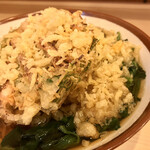 そばの神田 東一屋 - 揚げ玉ブチまけろ！  #BCMKR!