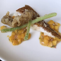 THE COSMOPOLITAN GRILL BAR TERRACE - 