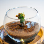 レスト　ケイ　ヤマウチ - 鴨のタンのフリット