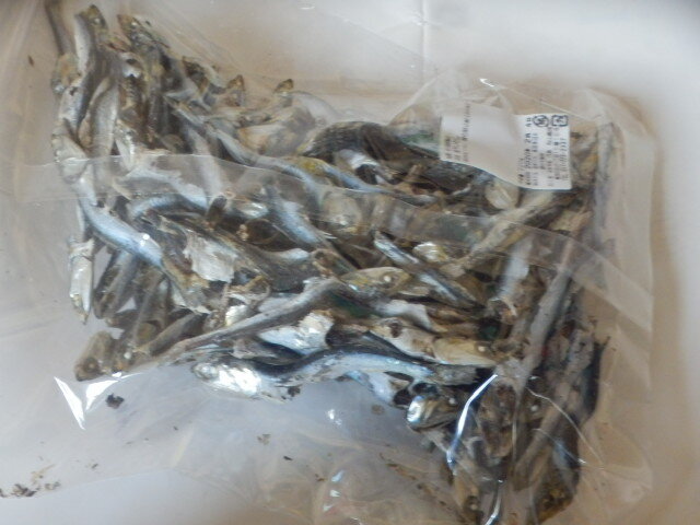 おたべなさいのあきやま商店 - 青森（その他）の写真